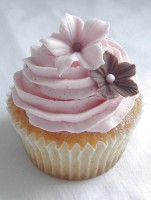 /album/i-dont-now/cupcake3-1148312557-jpg/