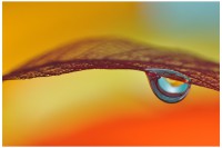 /album/i-dont-now/a897f928c29491d6a1201c9f4ab9d3dfa-d5lo5s5-jpg/