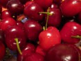 /album/galerie-photos/cerises-jpg/