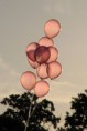 /album/galerie-photos/ballons-jpg/
