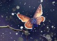 /album/galerie-photos/papillon-jpg/