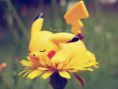 /album/galerie-photos/pikachu-png/